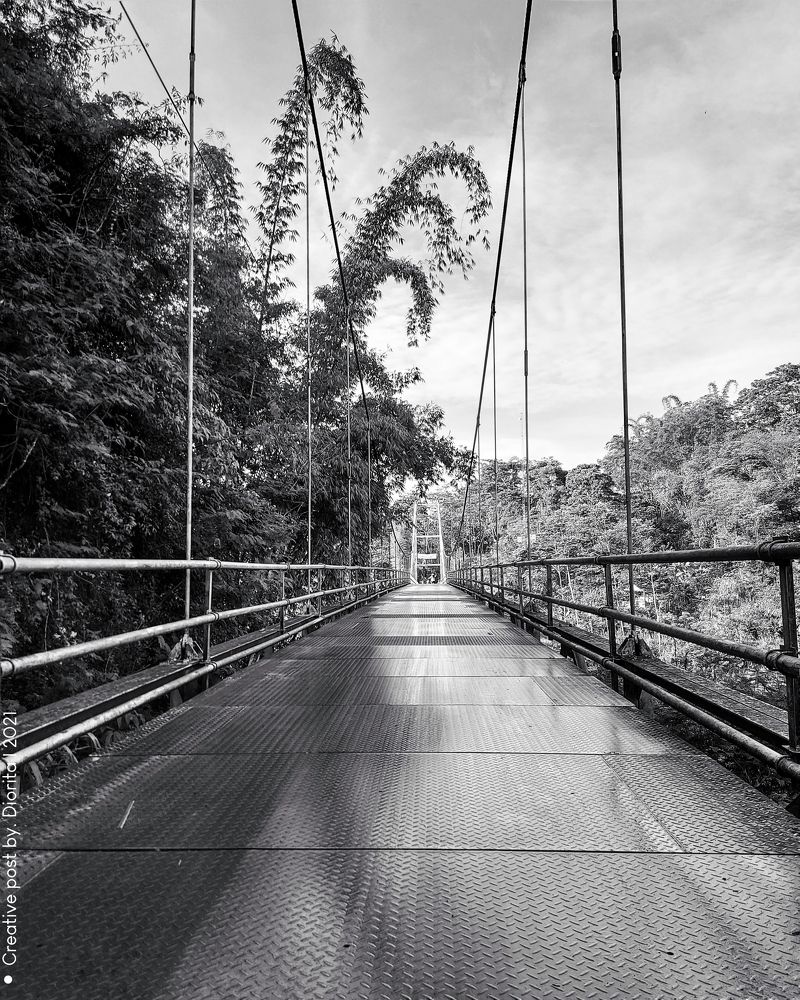 Photograph by Diorita