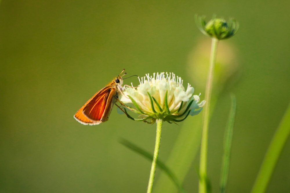 Photograph by Дмитрий Тимин
