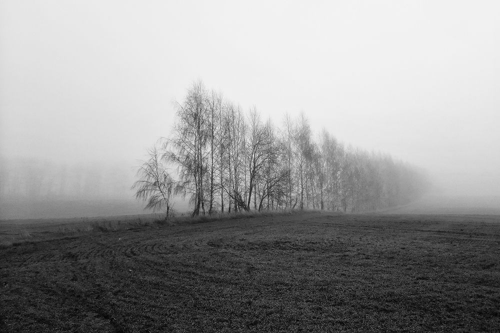 Photograph by Михаил Рассказ