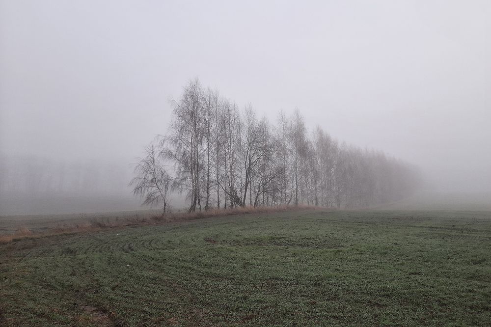 Photograph by Михаил Рассказ