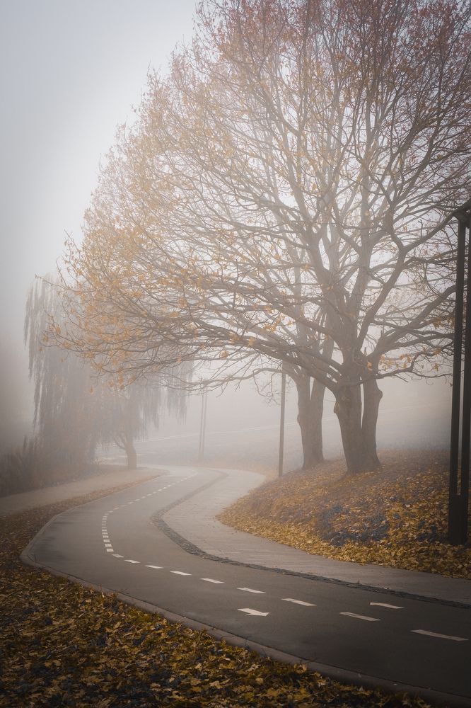 Photograph by Любовь