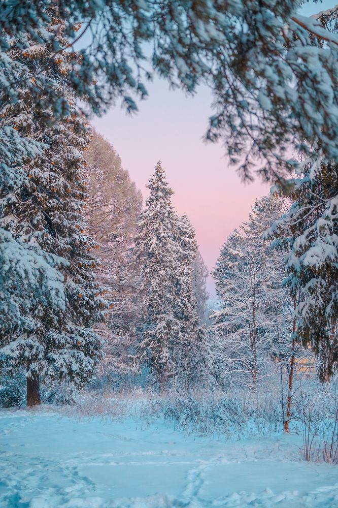 Photograph by Чикишев Евгений