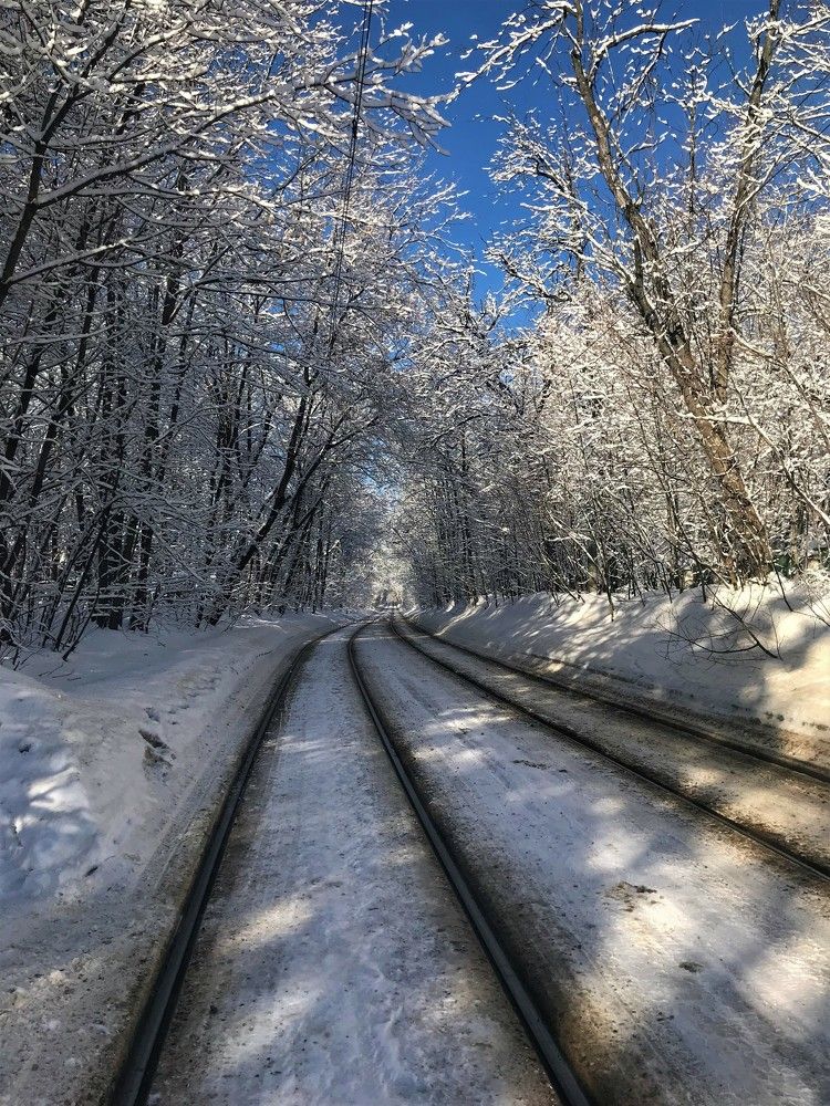 Photograph by Михаил Некрасов