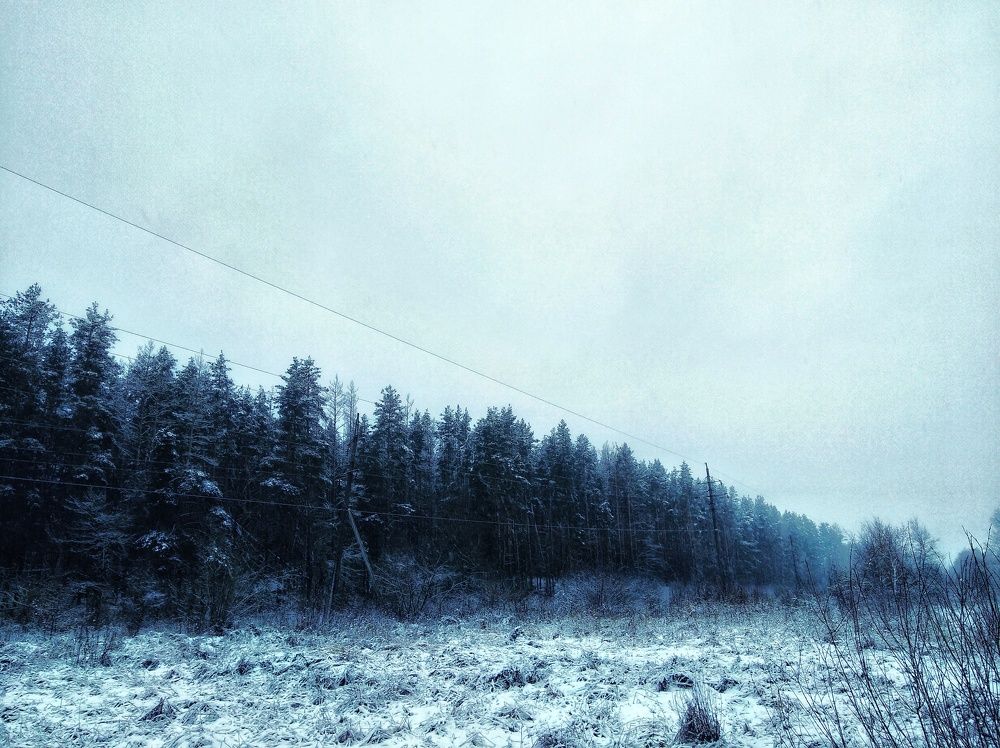 Photo #6898587