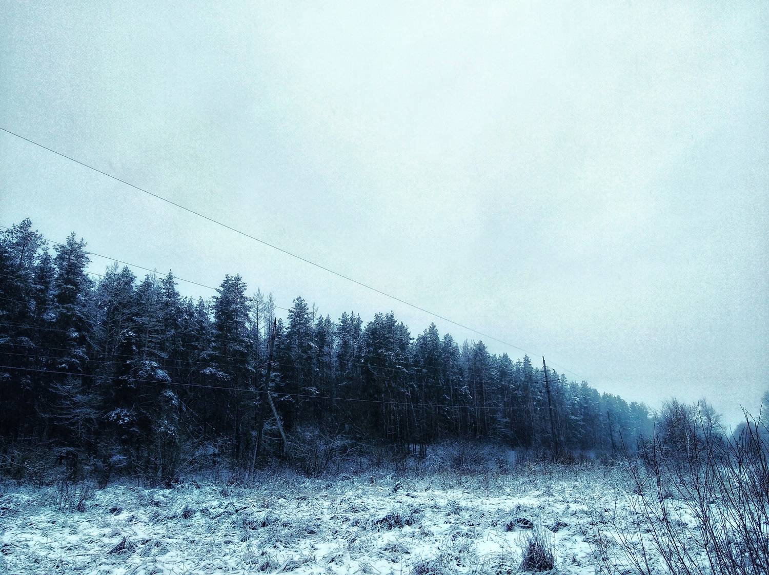 Photo #6898587