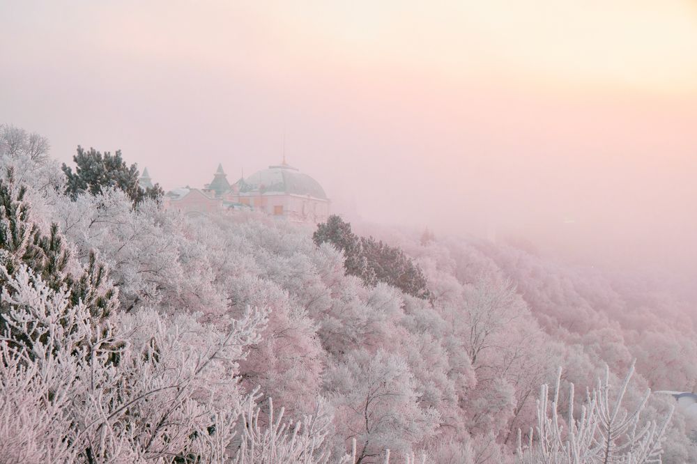 Фотография автора Дмитрий Рудь