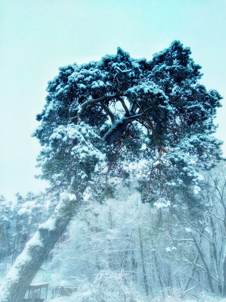 Photograph by Антон Татарников