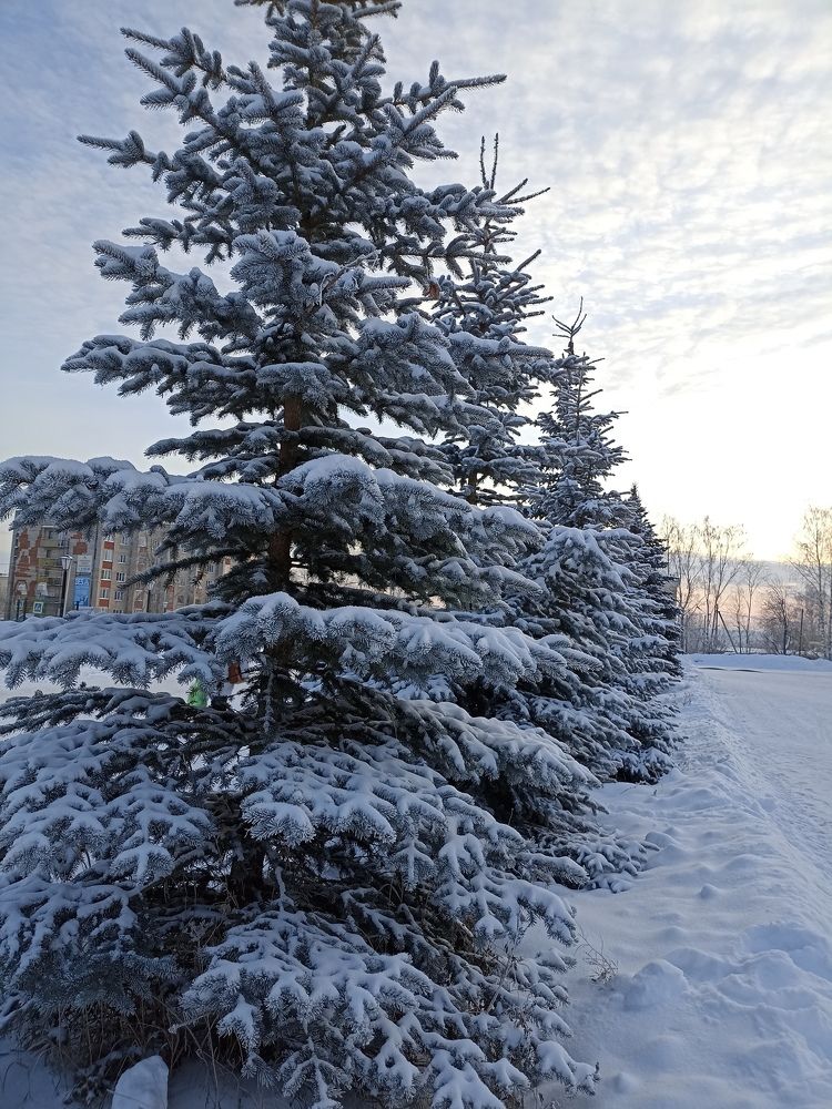 Photograph by Полина Денисова