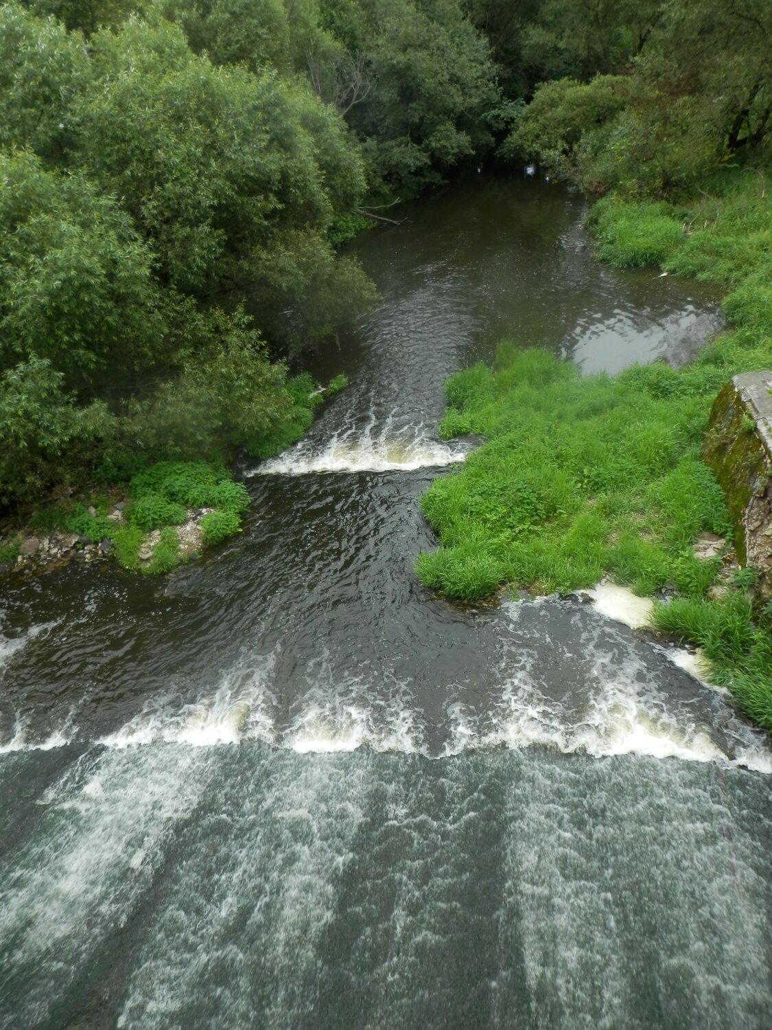 Photo #6898598