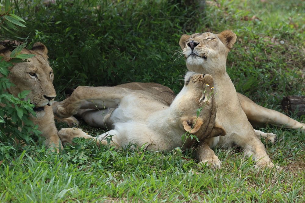 Photograph by Скворцов Аркадий