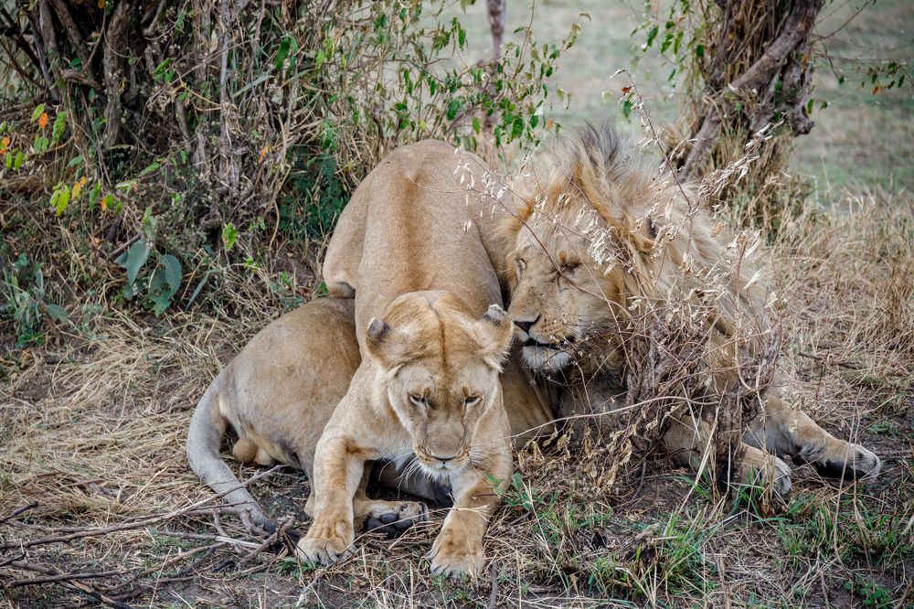 Photograph by Скворцов Аркадий