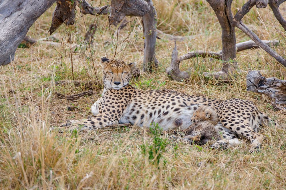 Photograph by Скворцов Аркадий