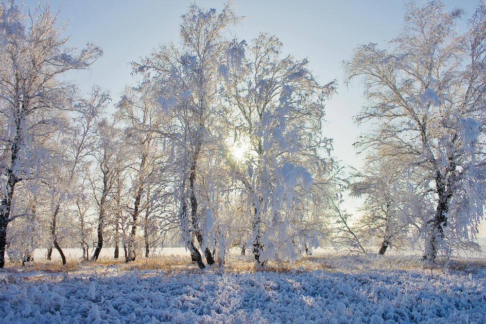 Фотография автора Сова Елена