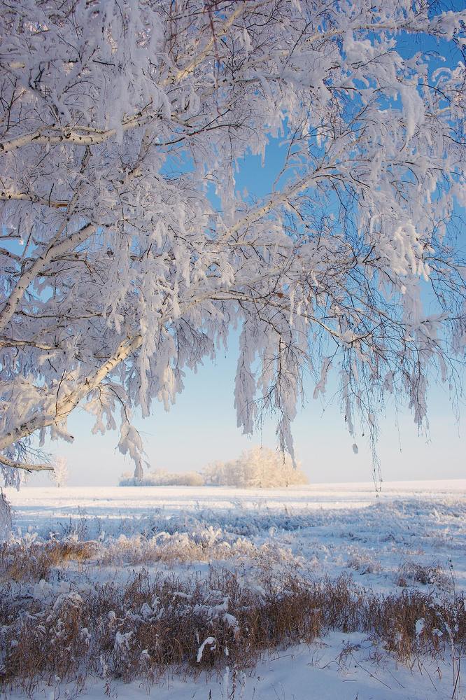 Фотография автора Сова Елена