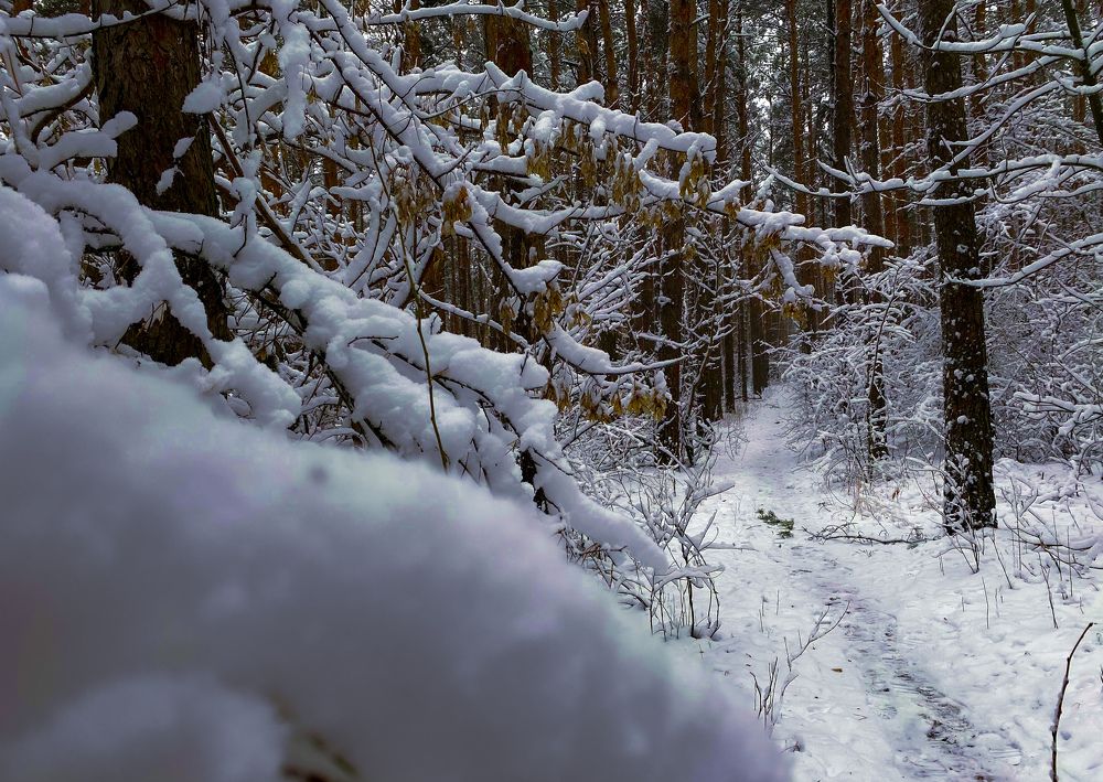 Photograph by Елена Гарибян