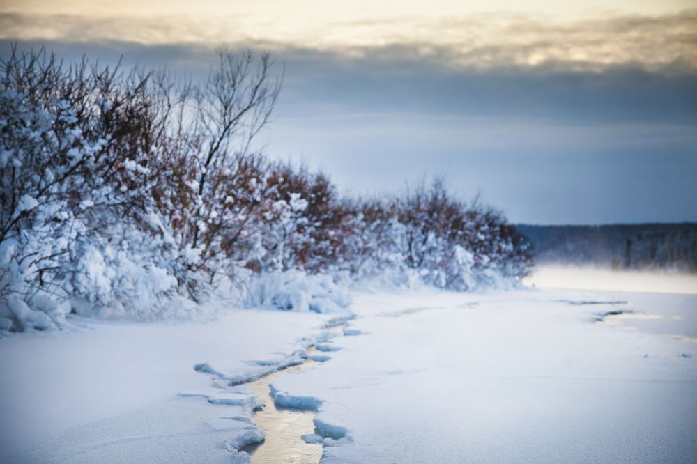 Photograph by Ирина Кузькина