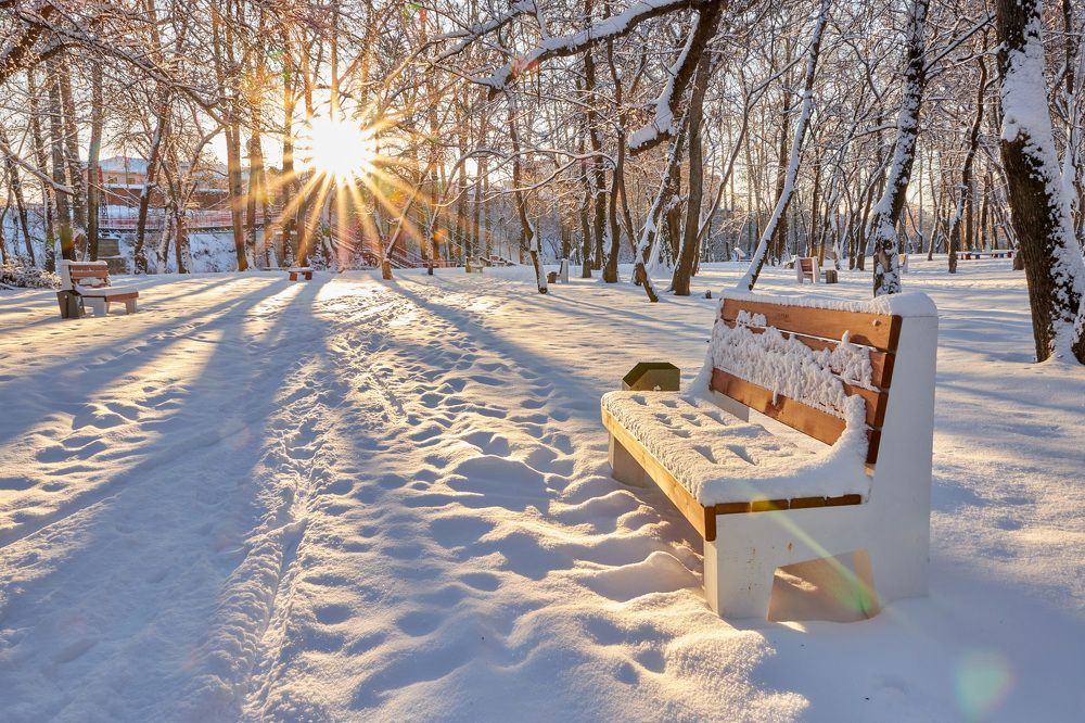 Photograph by КОНСТАНТИН ГОРДЕЕВ