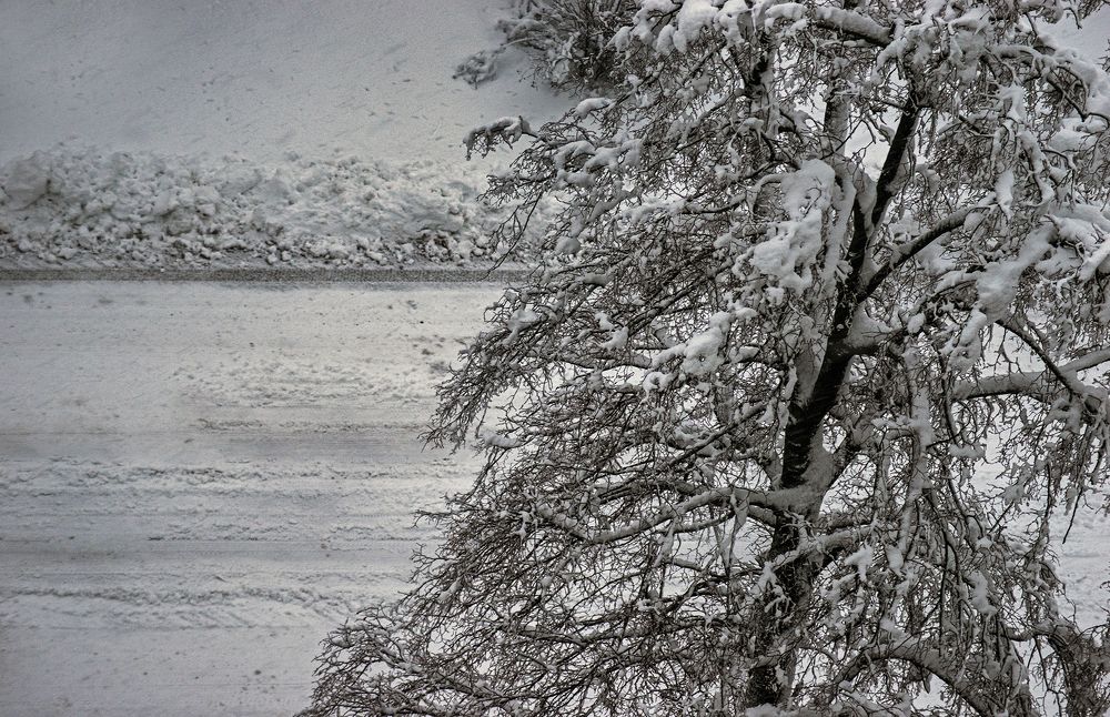 Photograph by Васильев Юрий