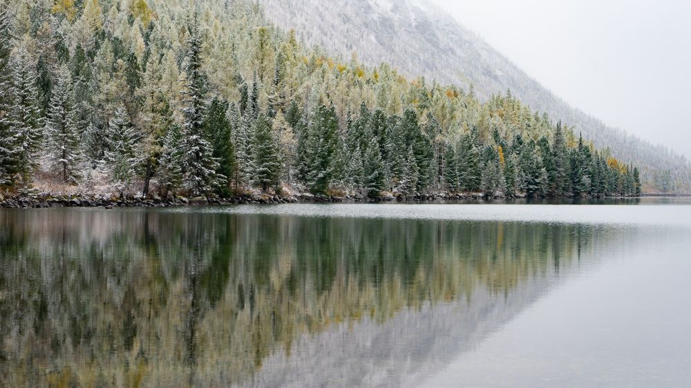 Фотография автора Сова Елена