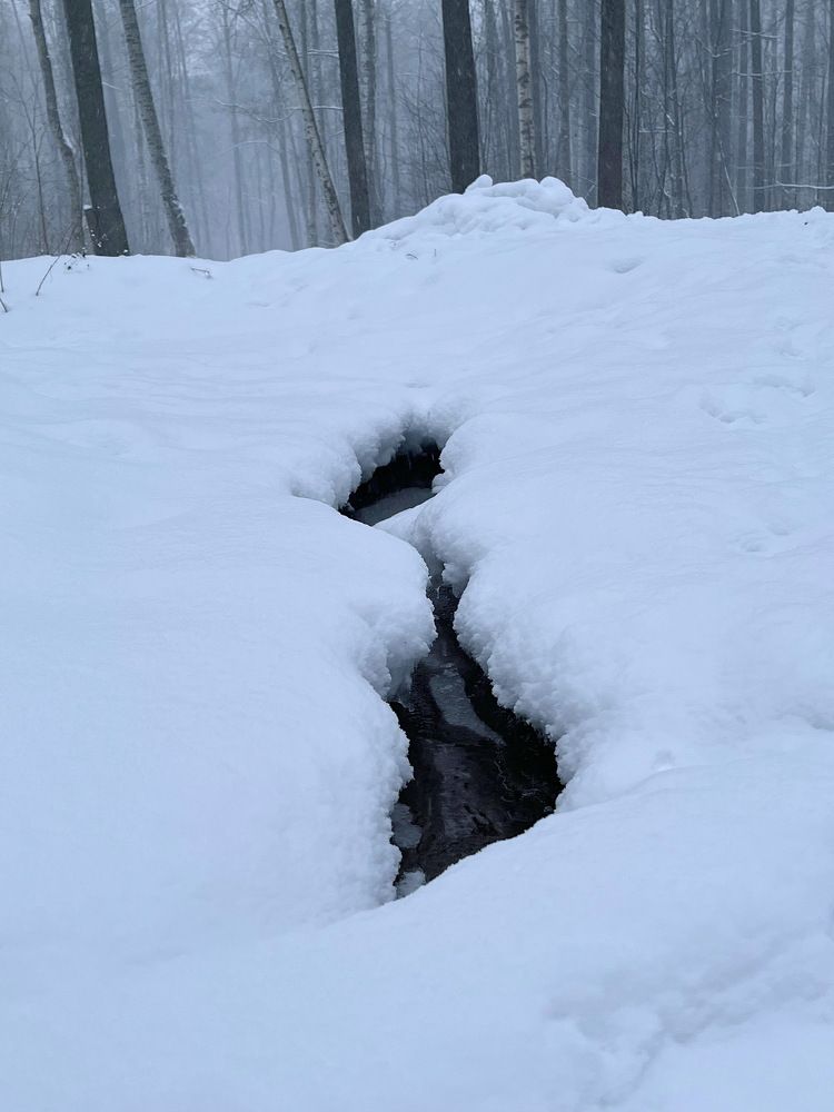 Жизнь под...снегом...!