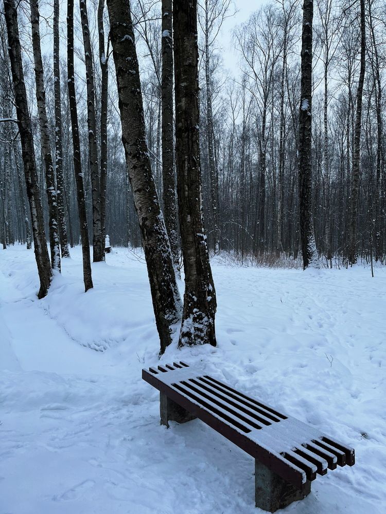 Тишина...в Удельном...СПб...!)