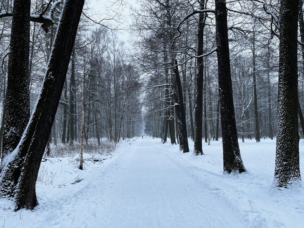 Дорога в Удельном ...СПб...!)