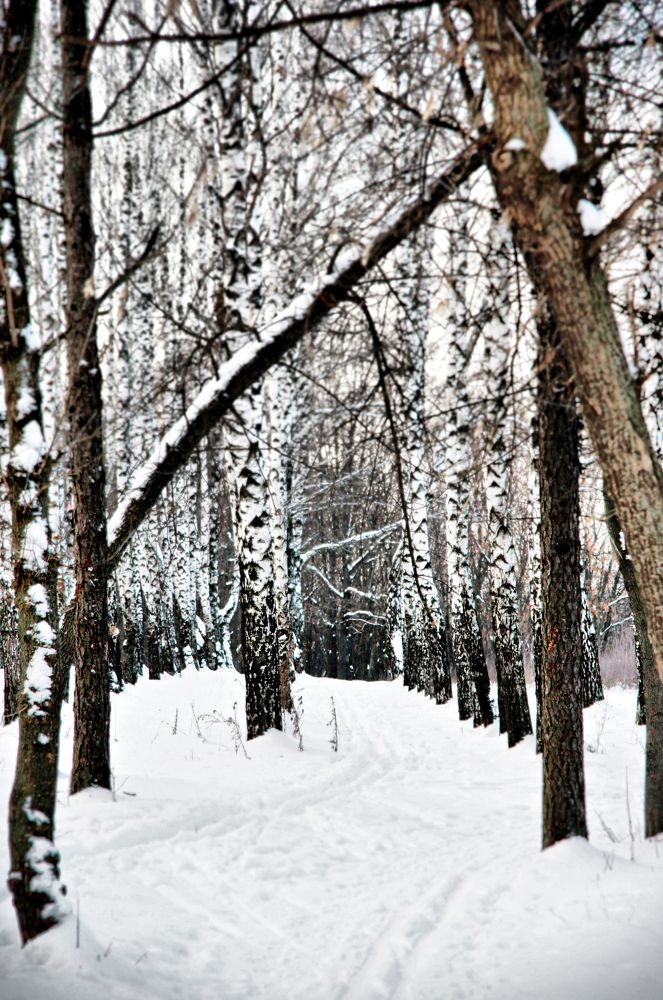 Photograph by Александр Малютин