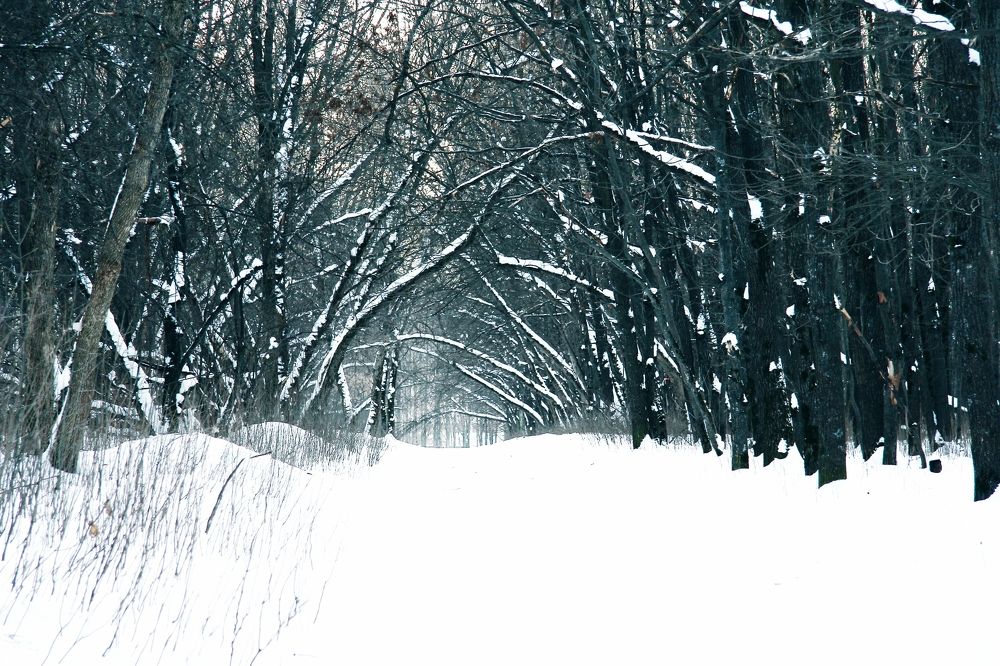 Photograph by Александр Малютин