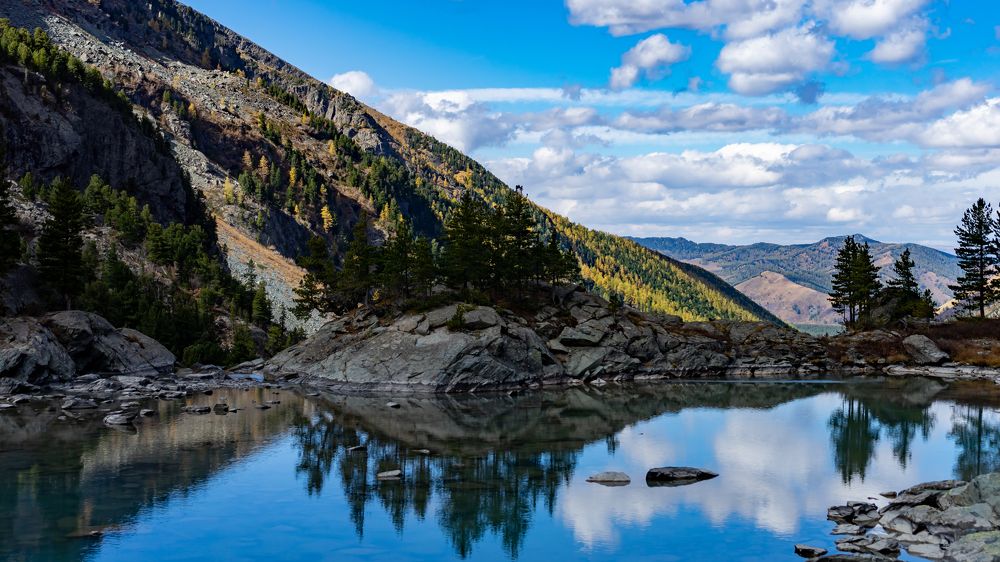 Фотография автора Сова Елена