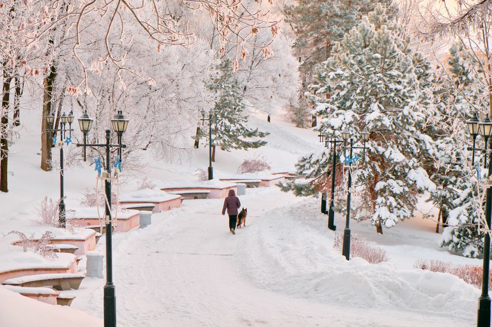 Фотография автора Дмитрий Рудь