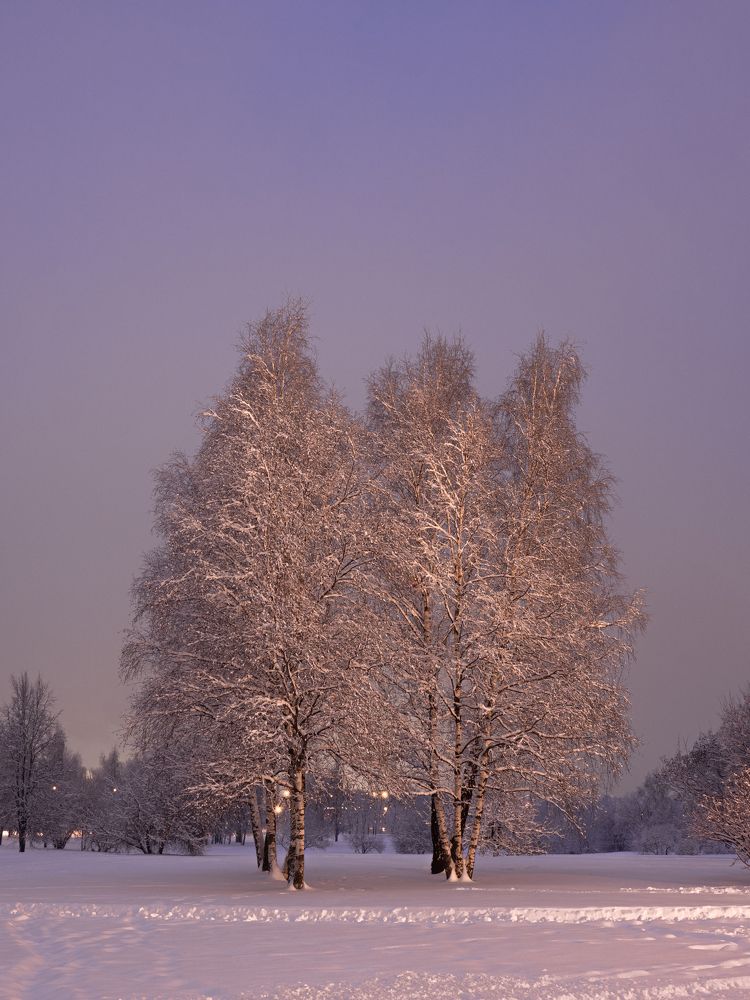 Photograph by Александр Устинов