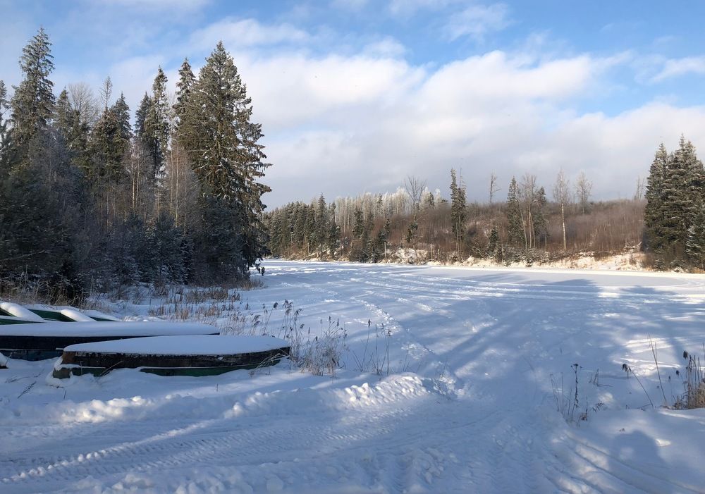 Photograph by Галина