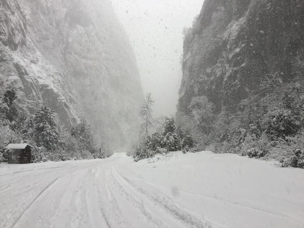 Photograph by Галина