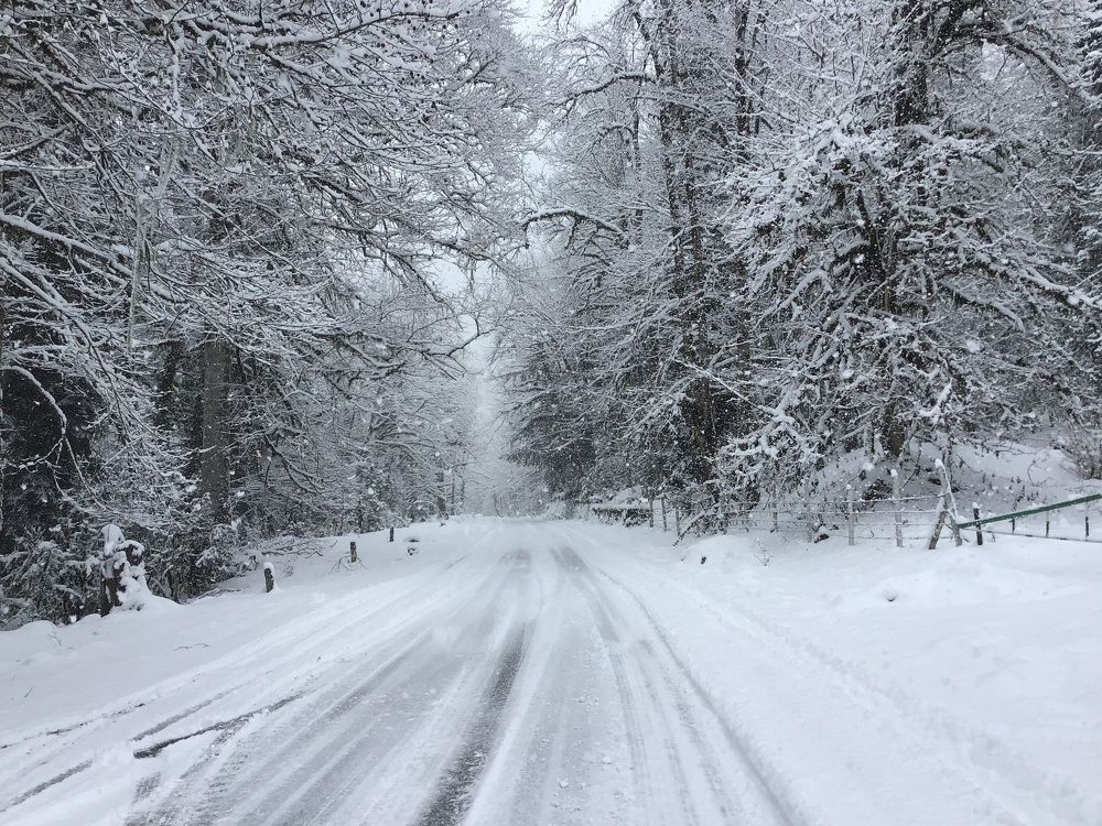 Photograph by Галина