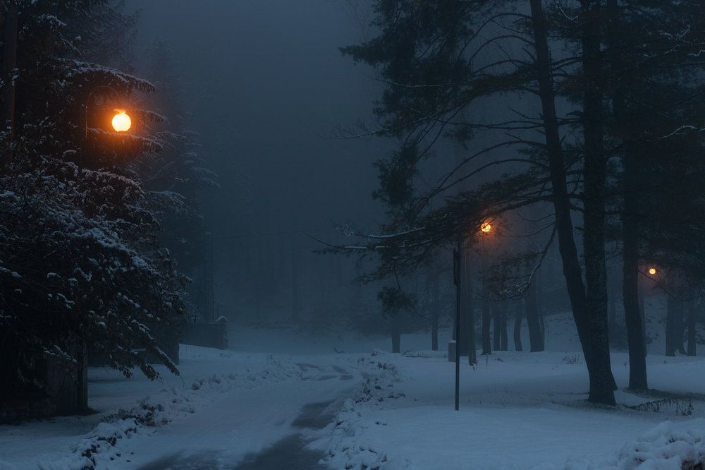 Photograph by Елизавета Калинина