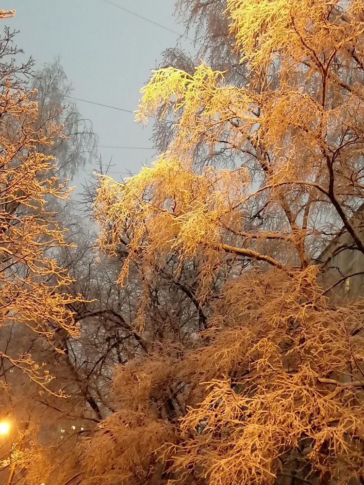 Photograph by Светлана Смердова