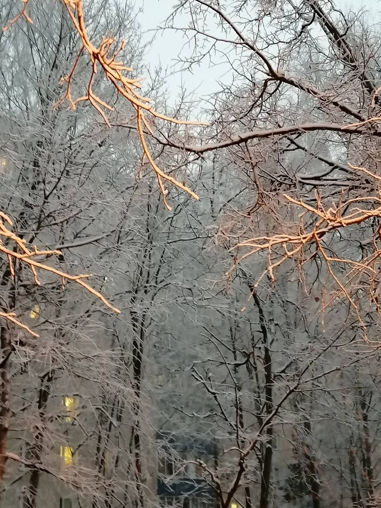 Photograph by Светлана Смердова