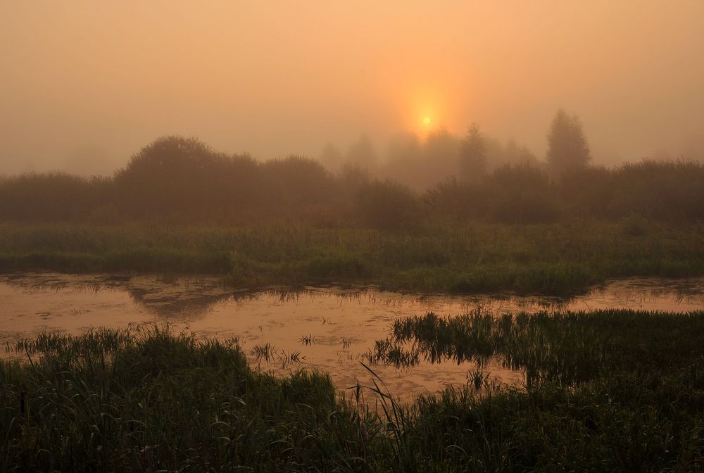 Photograph by Елена Потемина