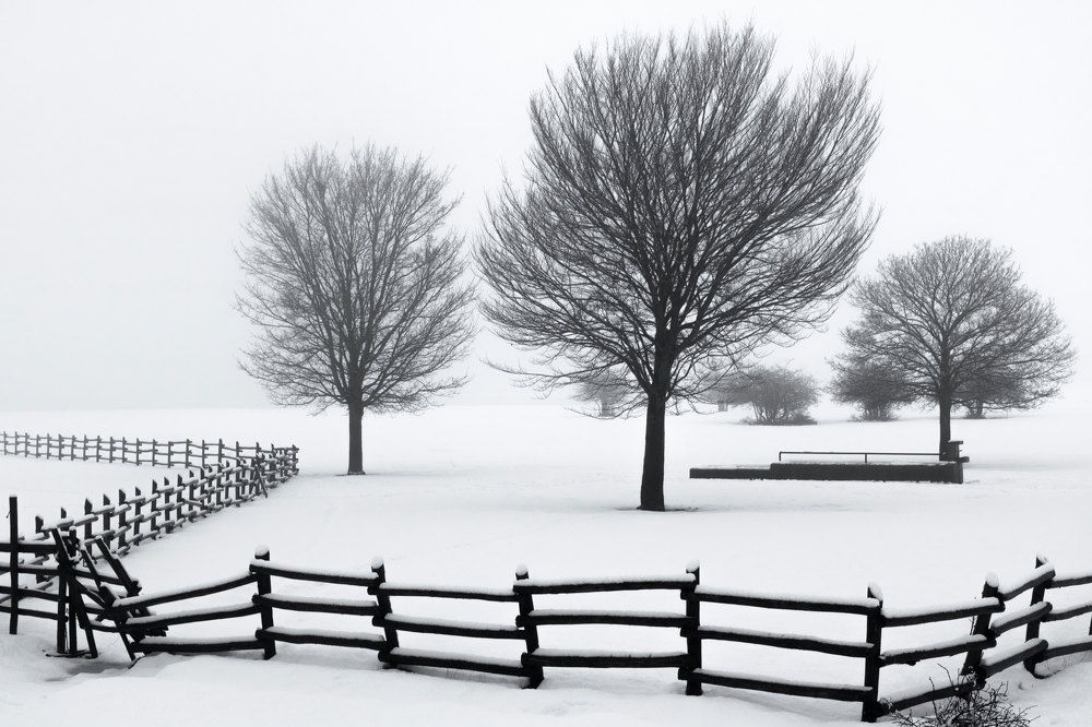 Photograph by Елизавета Калинина