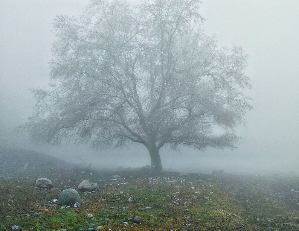 Photograph by Орынбек Асилбаев