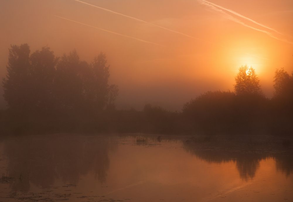 Photograph by Елена Потемина