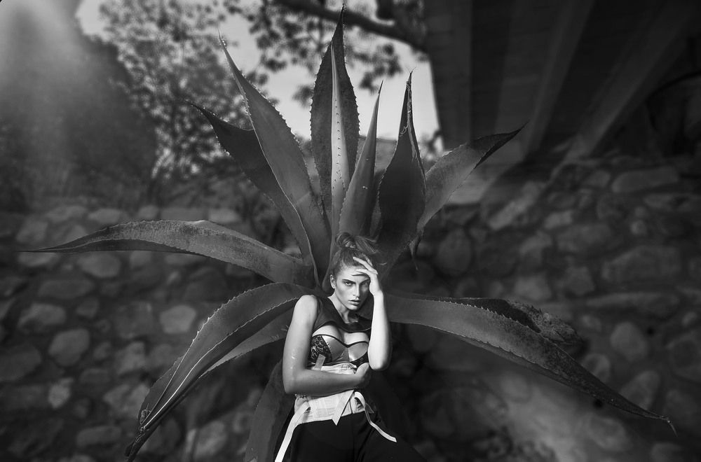 Photograph by Roberto Valdez