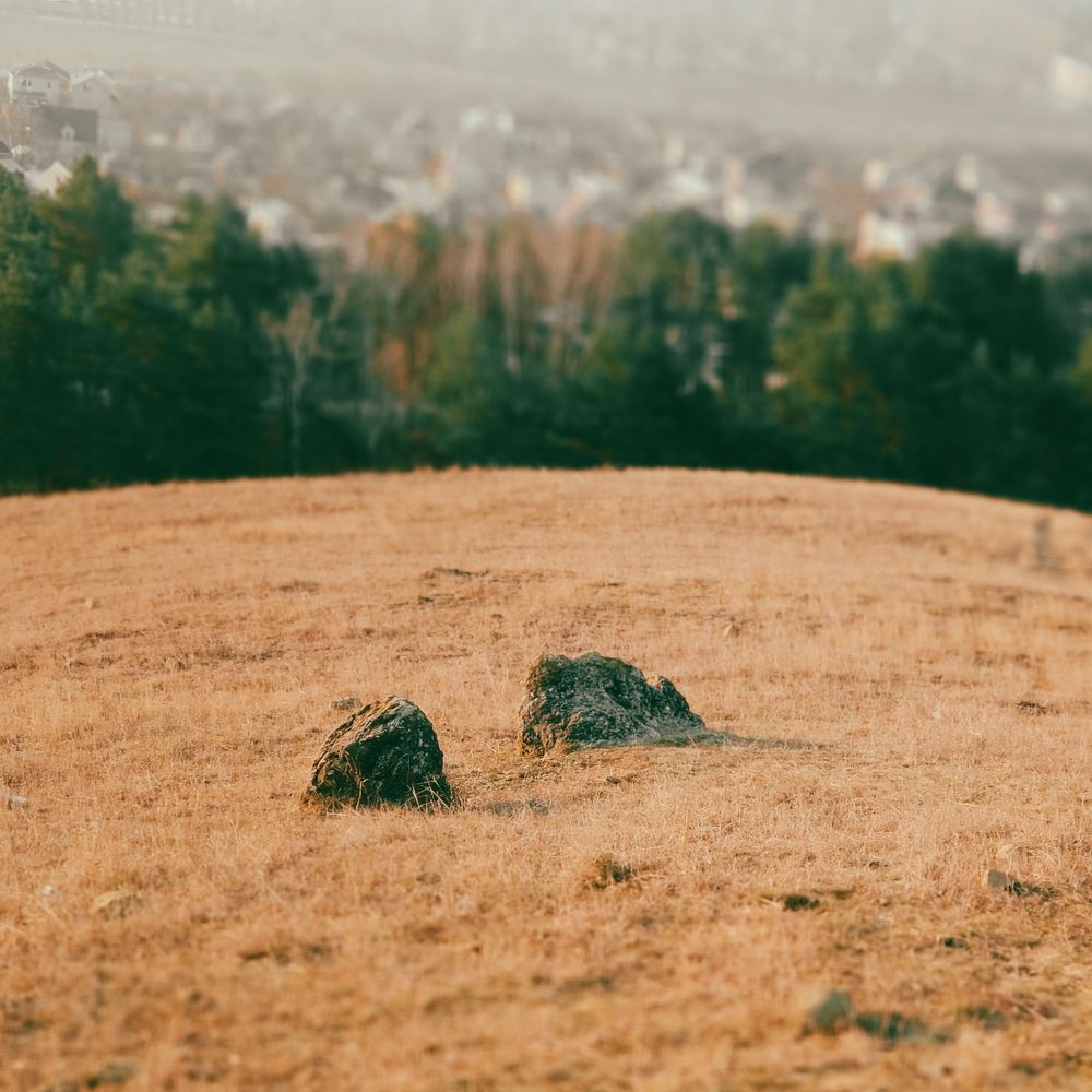 Photograph by Николай Ковальчук