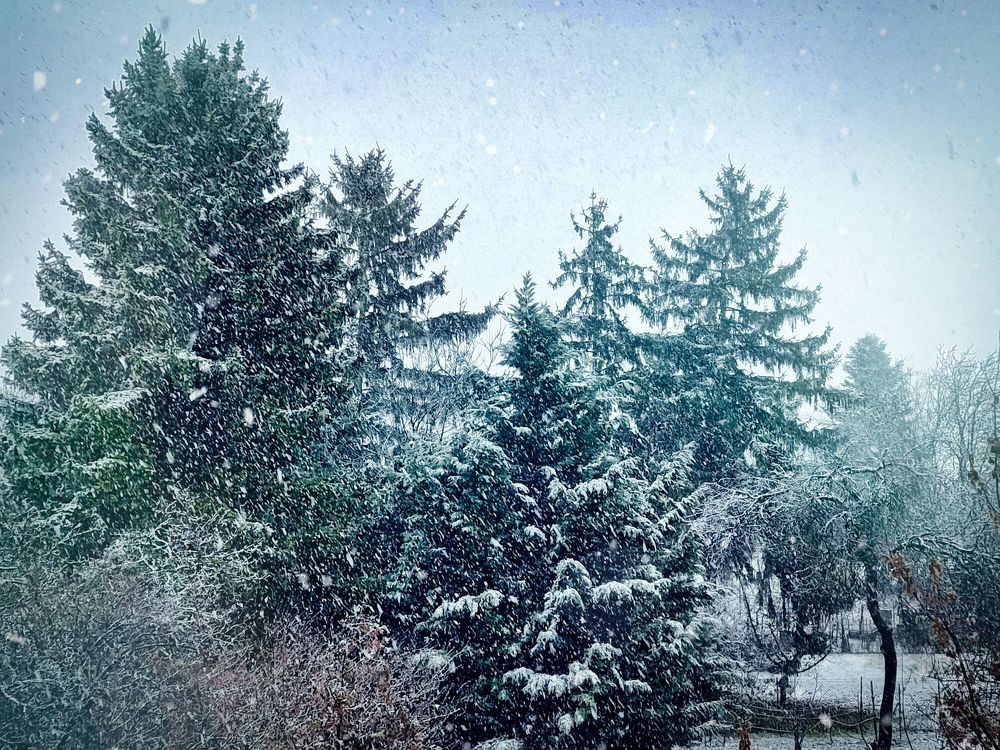 Photograph by Sandor Zoltan Gal