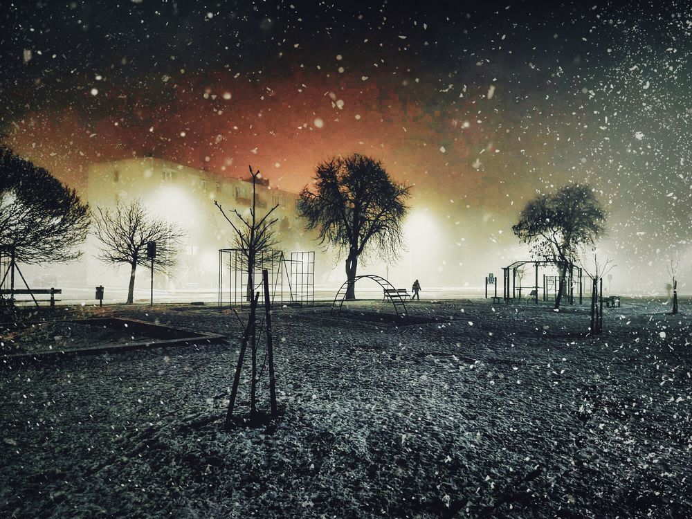 Photograph by Sandor Zoltan Gal