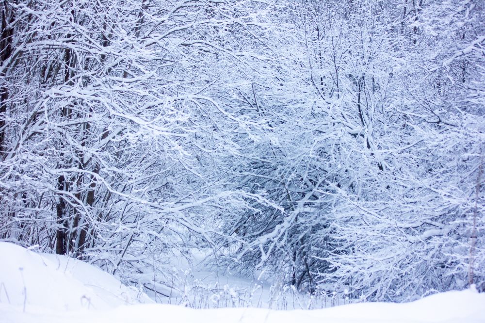 Photograph by Татьяна Казакова