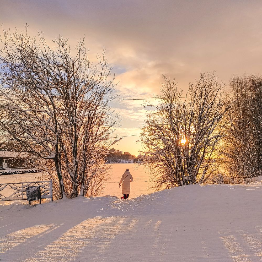 Photo #6898839