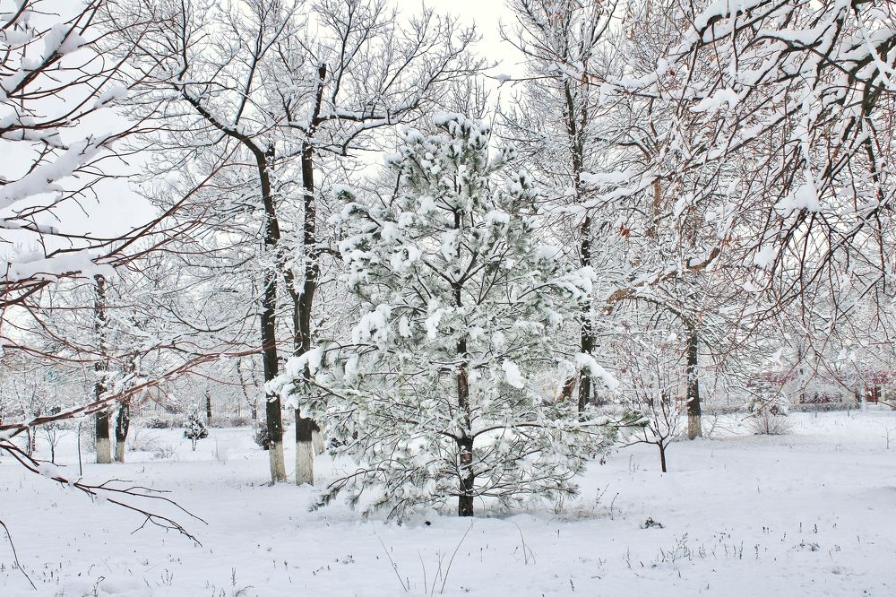 Photograph by Анна Восковых