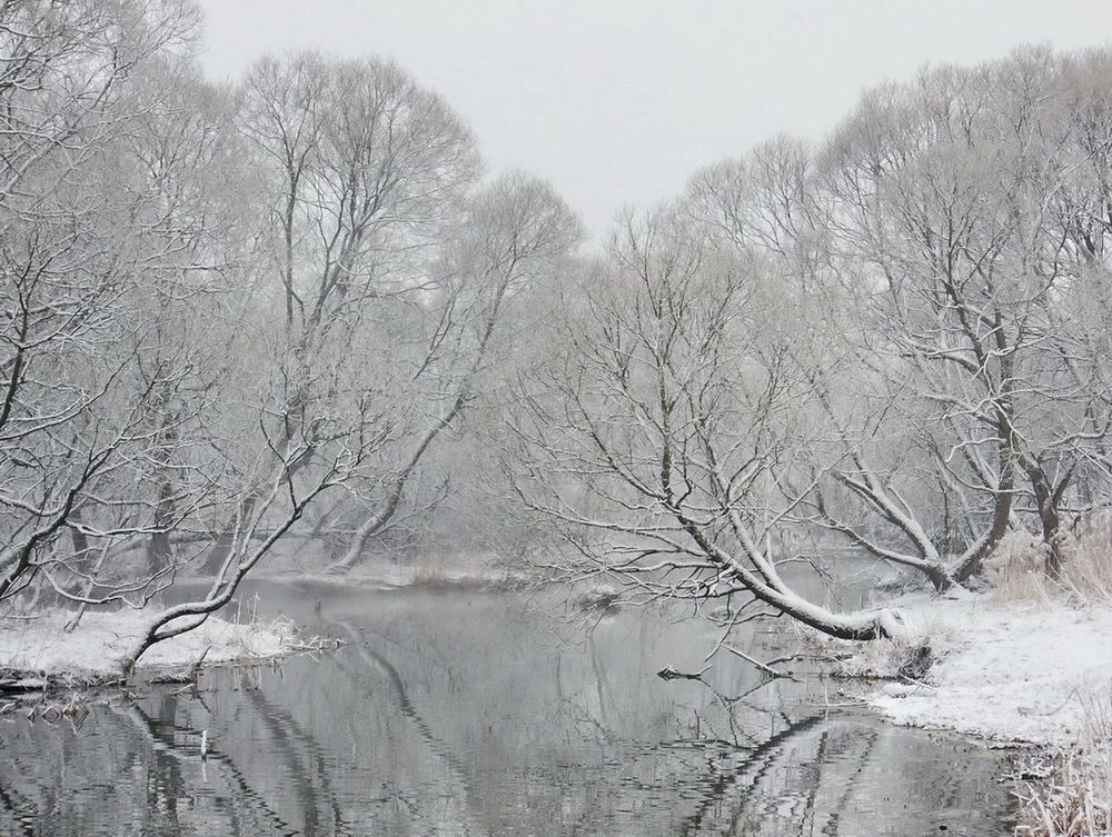 Photograph by Игорь Меньшенин