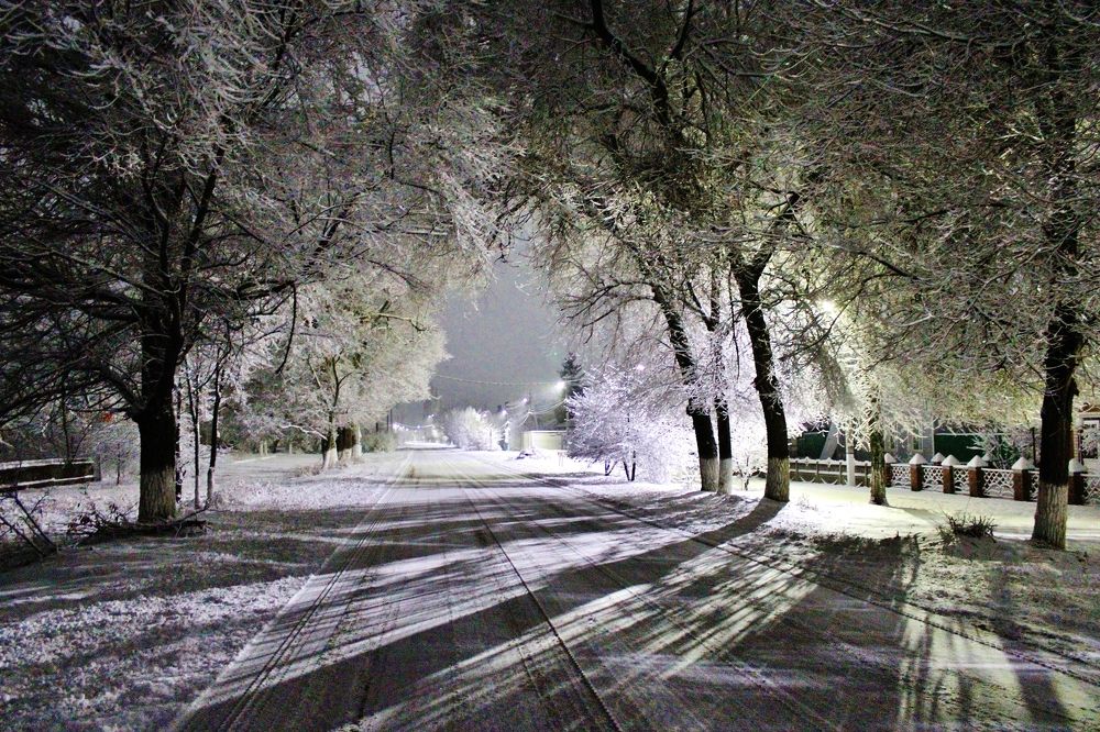 Photograph by Анна Восковых